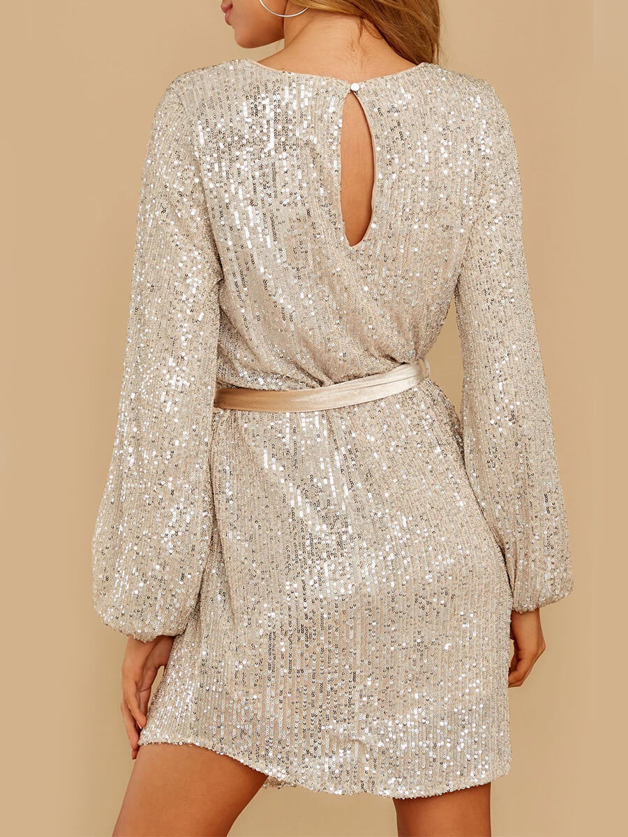 Lovely Christmas Day Sequin Silver DressLW | Fashion Online For Women ...